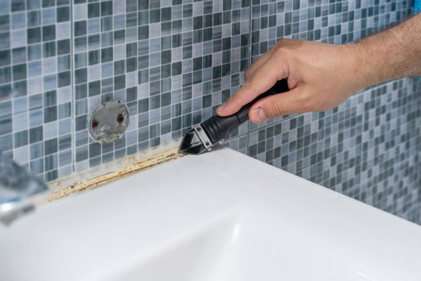 Best Attic Mold Removal  in Buckner, MO